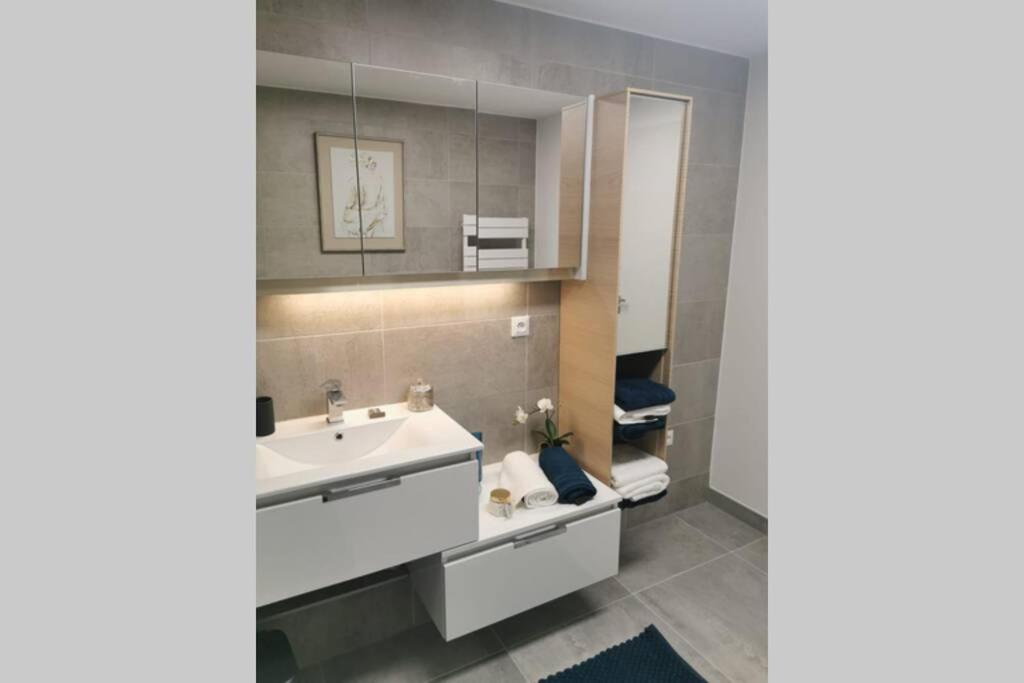 Magnifique F3, 75M² Avec Parking Prive Et Terrasse Apartment Страсбург Екстериор снимка